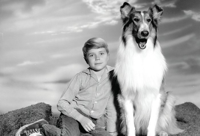 Lassie (1994) - IMDb
